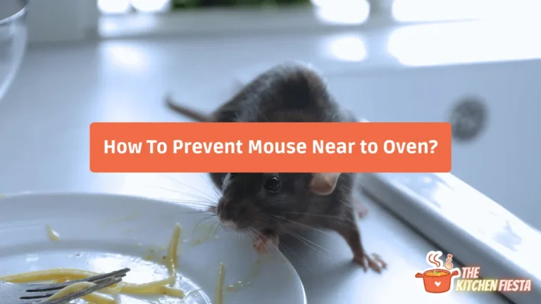 Mouse Droppings In The Oven: How To Clean And Prevent Them?