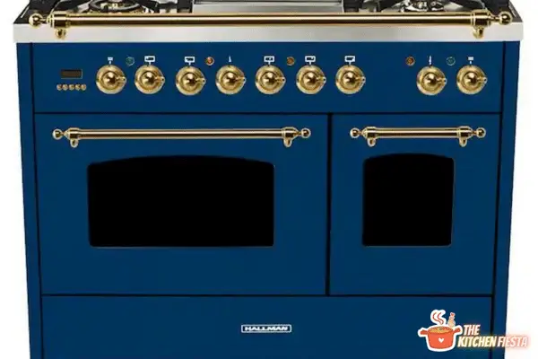 The History of Blue Ovens